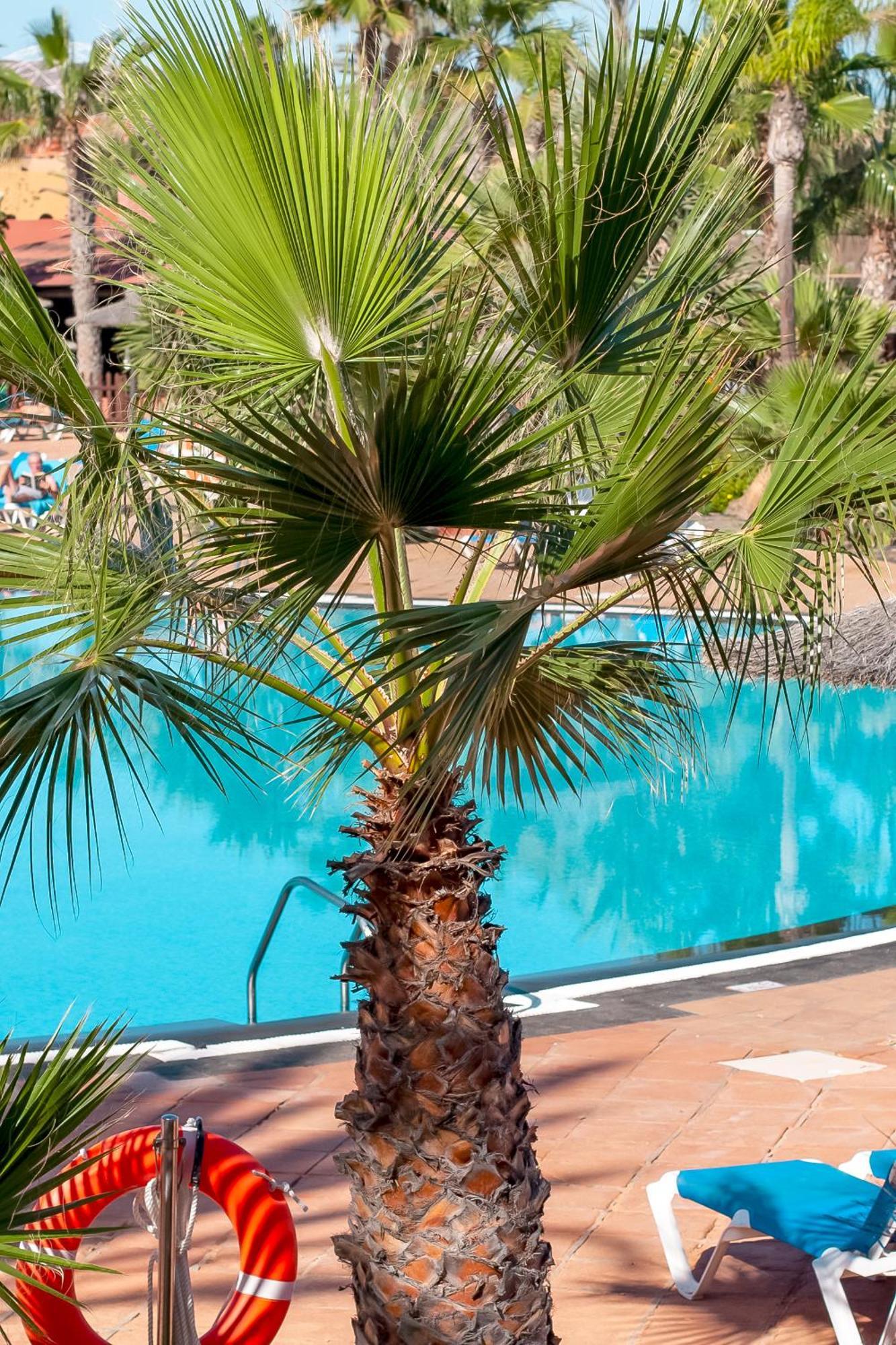 קורלחו Fuerteventurapartments מראה חיצוני תמונה